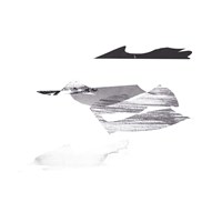 Cotton Scraps IV Fine Art Print