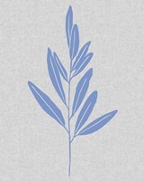 Blue Stem III Framed Print