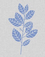 Blue Stem IV Framed Print