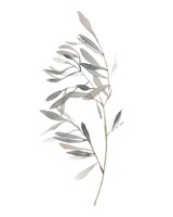 Gentle Breeze I Framed Print