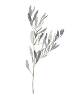 Gentle Breeze II Framed Print