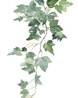 Branch Study II Framed Print