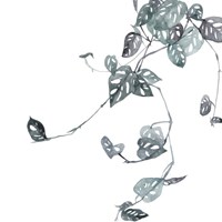 Imperfection IV Framed Print