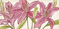 Pink Lilies I Fine Art Print