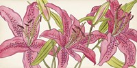 Pink Lilies II Fine Art Print