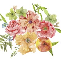 Just Peachy III Framed Print