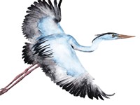 From the Sky I Fine Art Print