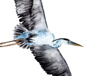 From the Sky III Fine Art Print