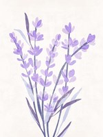 Lavender Land I Framed Print