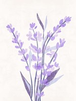 Lavender Land II Fine Art Print