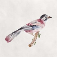 Bird Sketch I Framed Print