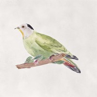 Bird Sketch III Fine Art Print