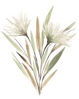 Modest Pedicle I Fine Art Print