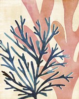 Chromatic Sea Tangle I Fine Art Print