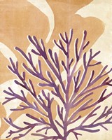 Chromatic Sea Tangle II Fine Art Print
