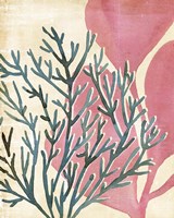 Chromatic Sea Tangle III Fine Art Print