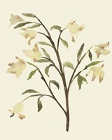 Blest Branch I Fine Art Print