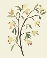 Blest Branch II Fine Art Print