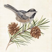 Pine Branch I Fine Art Print