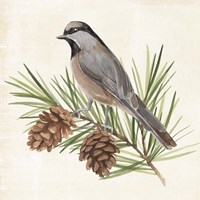 Pine Branch II Fine Art Print