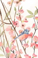 Cherry Blossom Perch I Framed Print