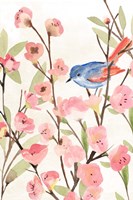 Cherry Blossom Perch II Fine Art Print