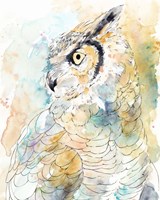 Owl Majestic I Framed Print