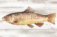 Spotted Trout I Fine Art Print