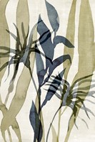 Glassy Depths I Fine Art Print