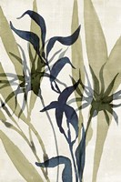 Glassy Depths II Fine Art Print