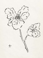 Floral Ink Study III Fine Art Print