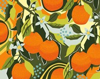 Sweet Clementine I Fine Art Print