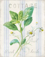 Floursack Herbs IV Fine Art Print