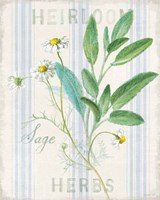 Floursack Herbs III Fine Art Print