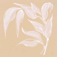 Leaf Study V Fine Art Print