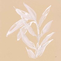 Leaf Study III Fine Art Print