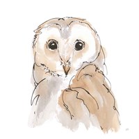 Barn Owl II Fine Art Print