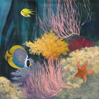 Coastal Reef II Fine Art Print