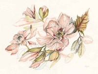 Magnolia Morning Fine Art Print