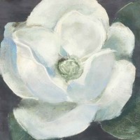 Magnolia II Sage Fine Art Print