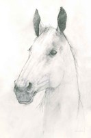 Caesar Fine Art Print