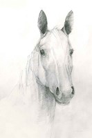 Romeo Fine Art Print