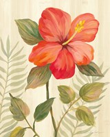 Tropical Garden XI Fine Art Print