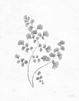 Soft Summer Sketches IV Blue Fine Art Print