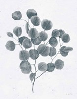 Soft Summer Sketches II Blue Fine Art Print