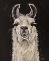 Llama Blanca Fine Art Print