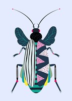 Beetle Fine Art Print