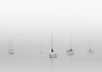 Six Moored Sailboats Fine Art Print