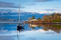 Stillness Fine Art Print