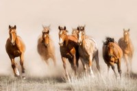 Outlaws Fine Art Print